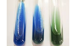 Citrate Test